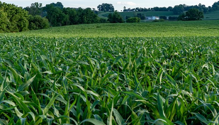 agri2